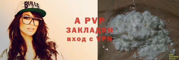 ПСИЛОЦИБИНОВЫЕ ГРИБЫ Абаза