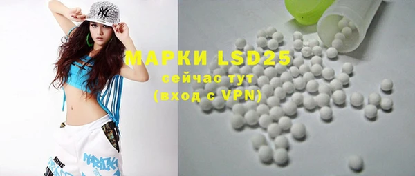 ПСИЛОЦИБИНОВЫЕ ГРИБЫ Абаза