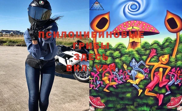 ПСИЛОЦИБИНОВЫЕ ГРИБЫ Абаза