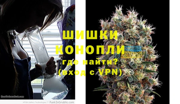 ПСИЛОЦИБИНОВЫЕ ГРИБЫ Абаза