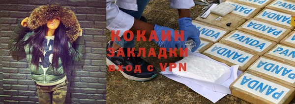 ПСИЛОЦИБИНОВЫЕ ГРИБЫ Абаза