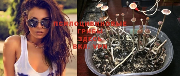 крисы Абинск