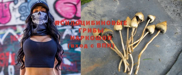 крисы Абинск