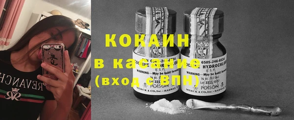 ПСИЛОЦИБИНОВЫЕ ГРИБЫ Абаза